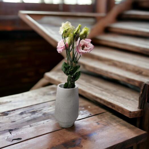 Eustoma (Mixed colours), price is indicated per stem