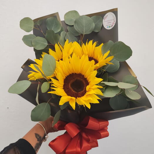 SOLES DE GIRASOLES