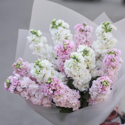 Микс матиолы