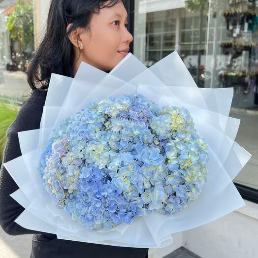 Hydrangea blue mono Medium