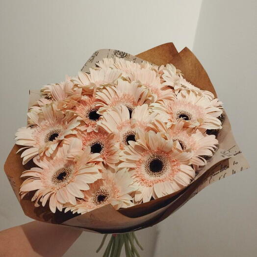 Bouquet Gereberas Rosa Baby 🩷