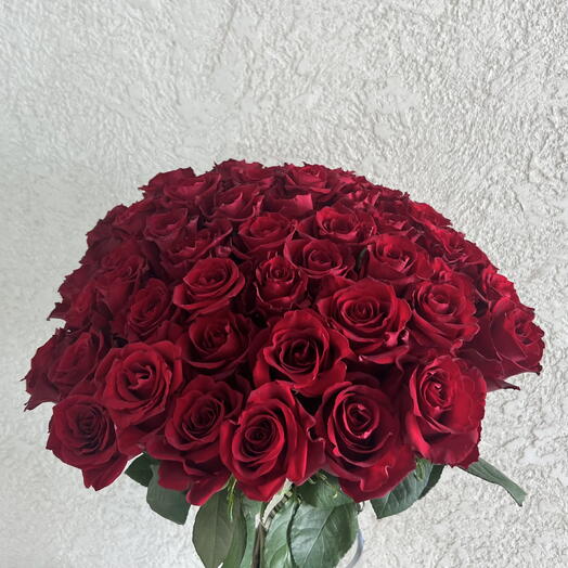 Red Magic 55 roses