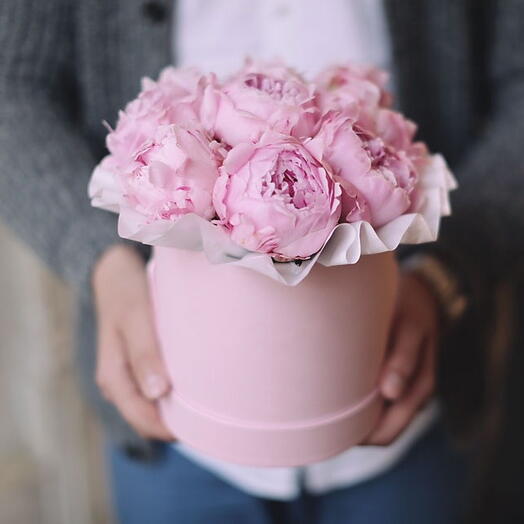 Пионы Сара Бернар в коробке «Shimada»