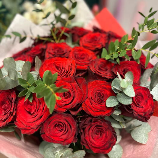 Rosa Roja Amor Ardiente 25