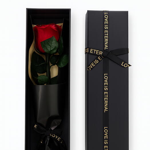 Red everlasting rose on a stem