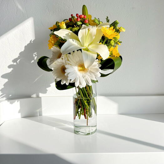 Destellos de Alegria