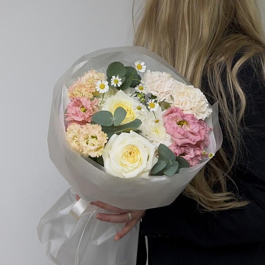 Tanacetum Candy Light, Eustoma size S