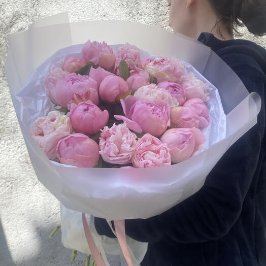 Peonies pink mix 23