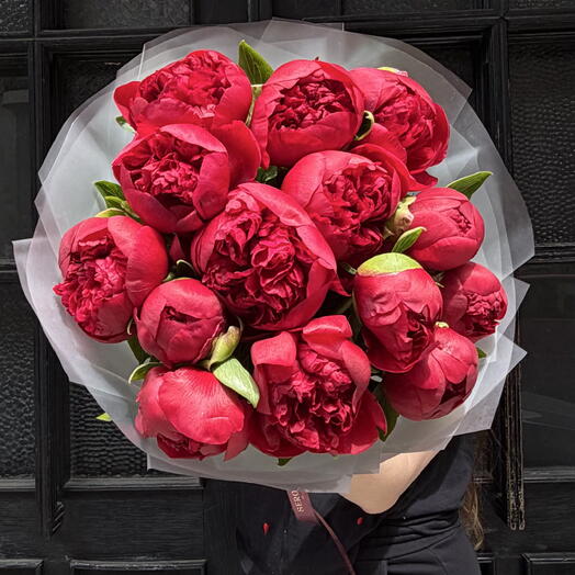 Red Peonies 15