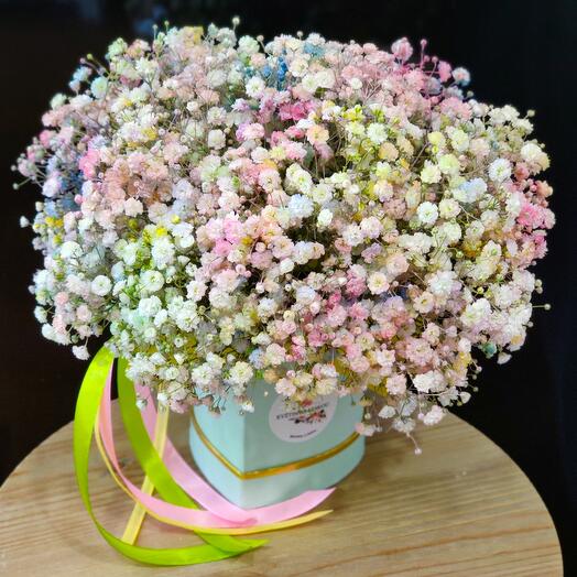 The heart of gypsophila