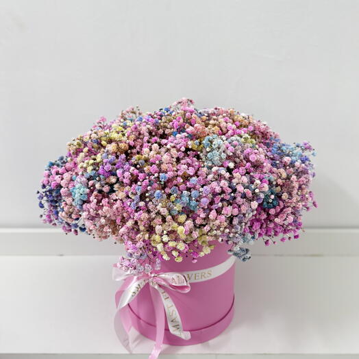 Large colorful gypsophila in a box