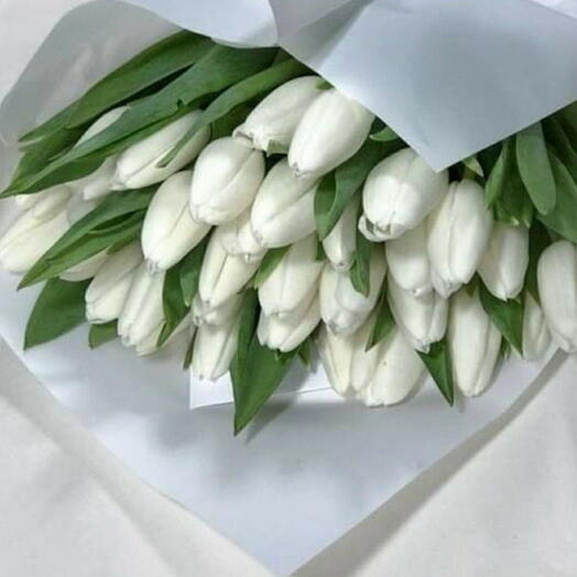 Tulipani bianchi 30