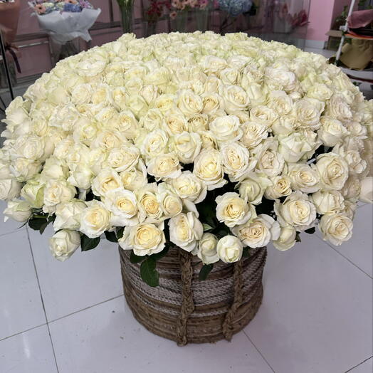 501 white rose basket