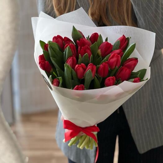 Red tulips