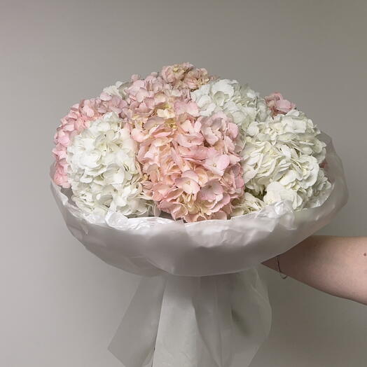 Mix white and pink hydrangeas, 11 stems