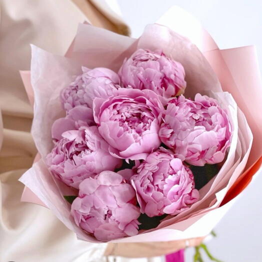 Peonies 7 pc