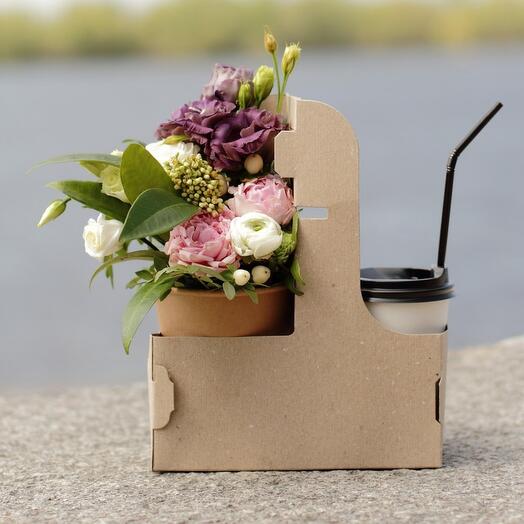 Viragcsokor + MC Cafe