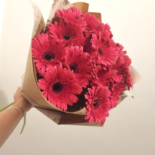 Bouquet Gereberas Fucsia Varios pes