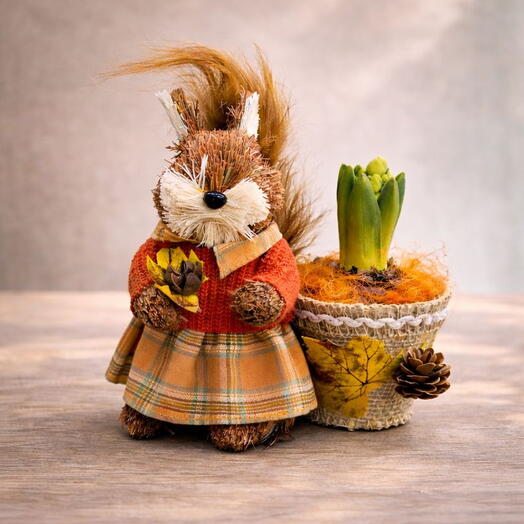 The potted plant Forest Squirrel