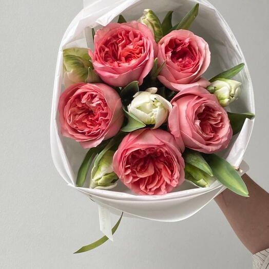 Sorriso Tocco Morbido di Peonia