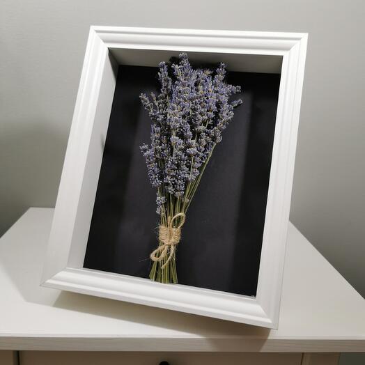 Painting "Caught in Provence"