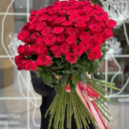 85 Голландских красных роз 70-80 см