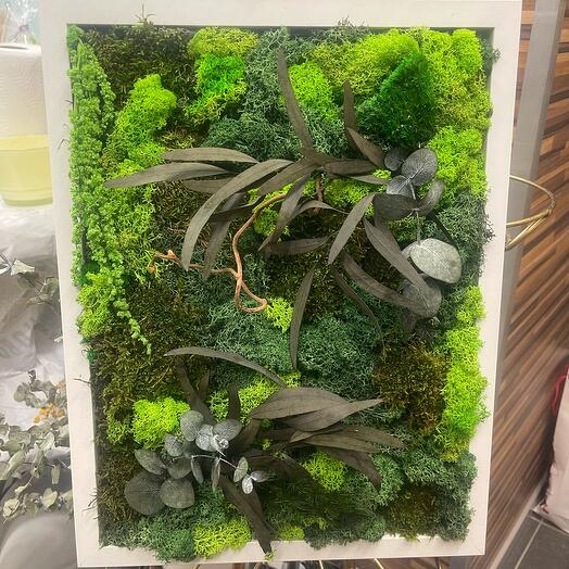 Picture is made of stabilized moss