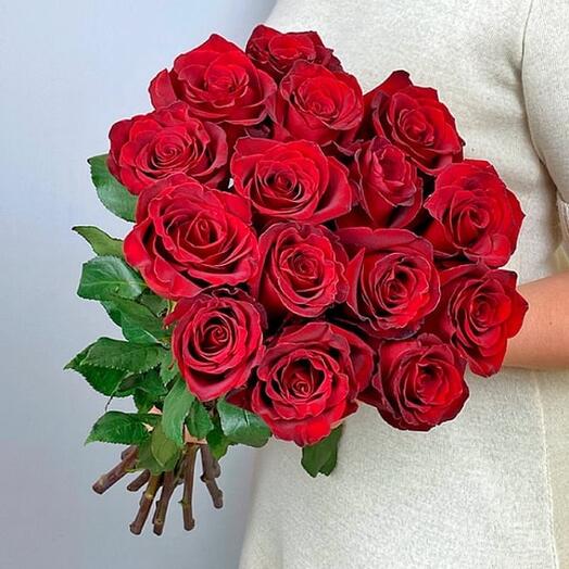 15 grandes divisiones