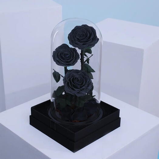 Black Forever Rose