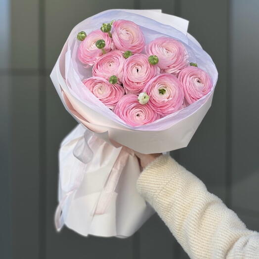 Ranunculus hanoi 9szt