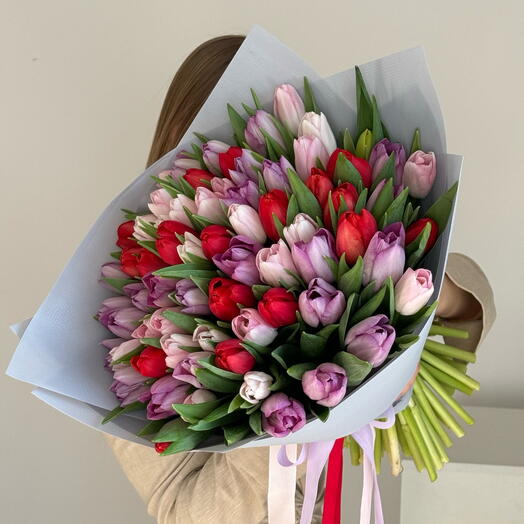 Mezcla de 75 tulipanes