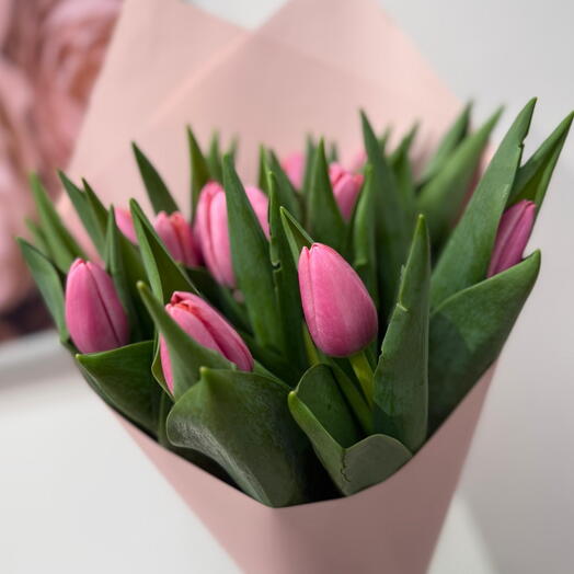Pink tulips 15pcs