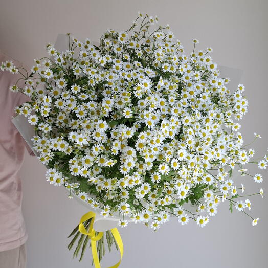 Mono bouquet Matricaria