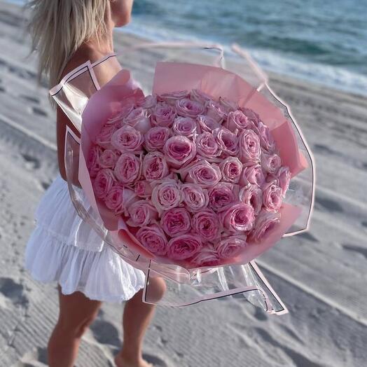 50 pink garden roses