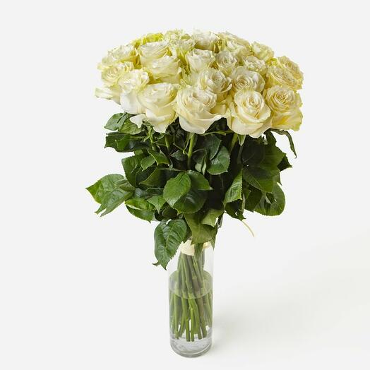 25 white roses