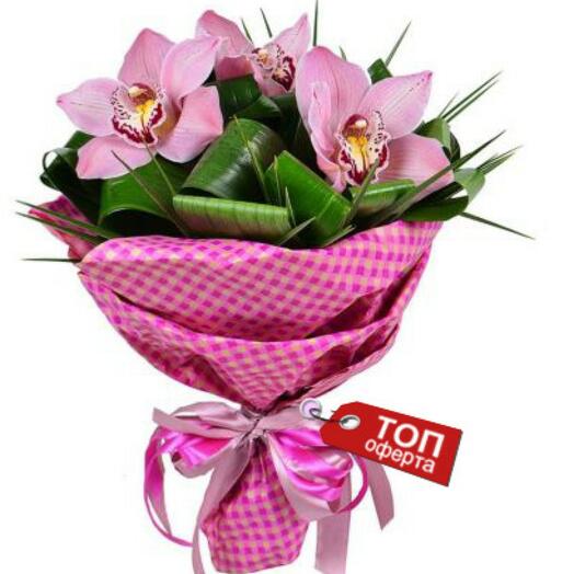 Tenderness and exotic