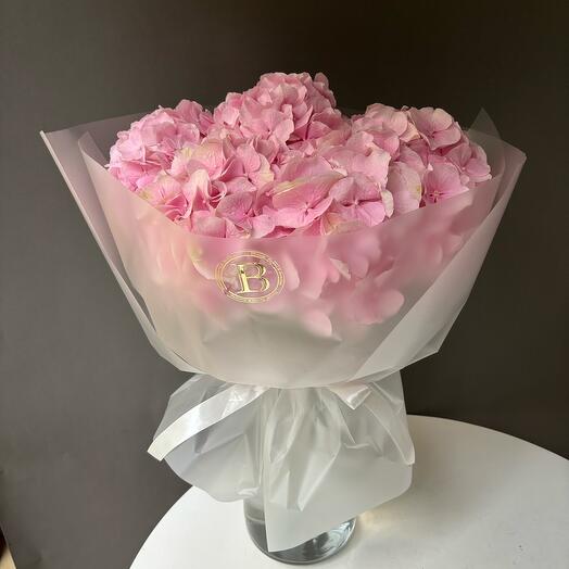 Pink hydrangea 5