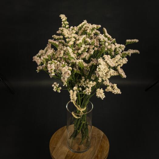 Limonium beige