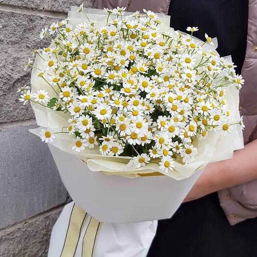 Полевая ромашка букет