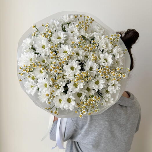 Облако ромашки и кустовой хризантемы