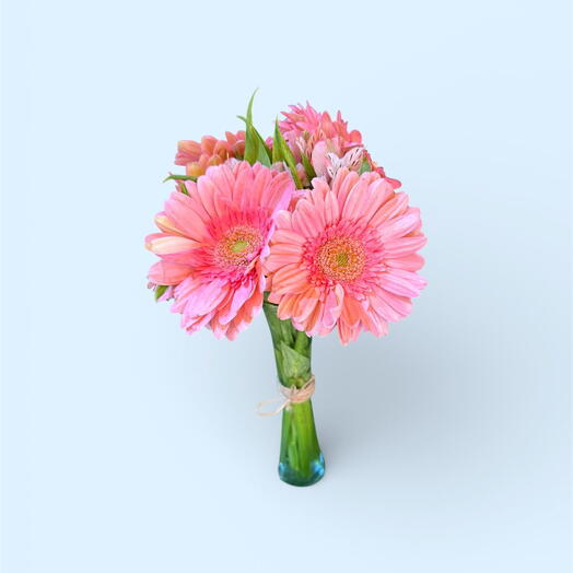 Gerberas y Astromelias