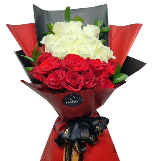 Florenza Red and White