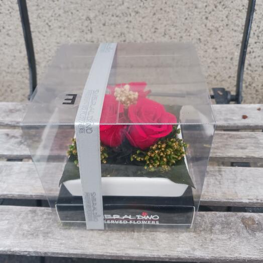 3 mini stabilised rose red