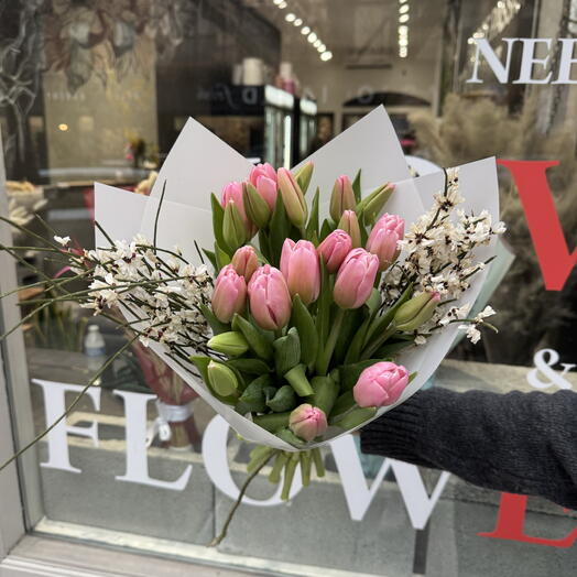 21 pink tulips with Genista