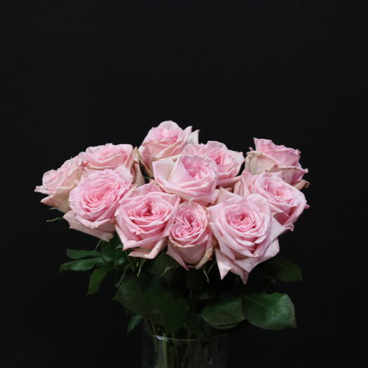 Peony roses "Pink Ohara"