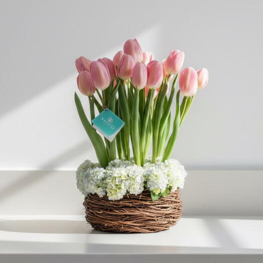 Nido de Amor – Arreglo de Tulipanes y Hortensias en Base Natural