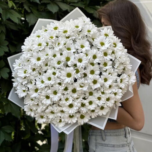 Букет хризантемы Баккарди