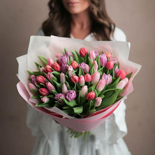 51 голландский тюльпан премиум