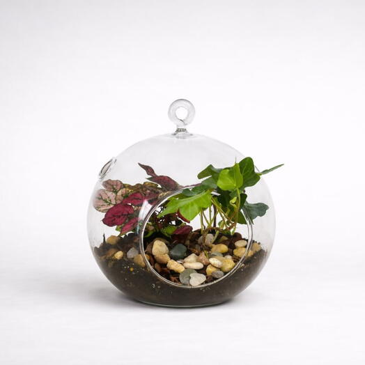 Florarium M with a hook 2
