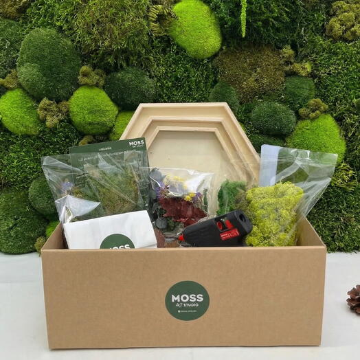 DIY Moss Art Kit "Honeycombs" – Create Your Own Moss Wall Piece